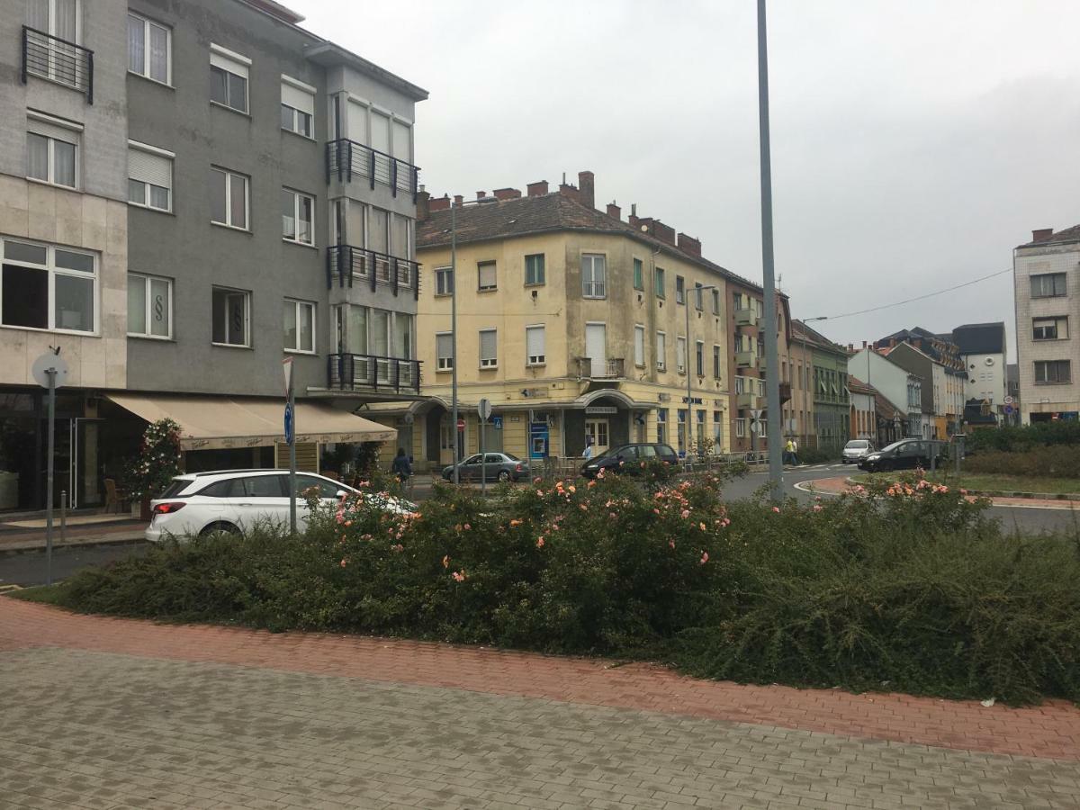 Szelestey Utcai Apartman سزومباثيلي المظهر الخارجي الصورة